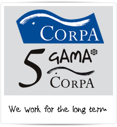 We work for the long term